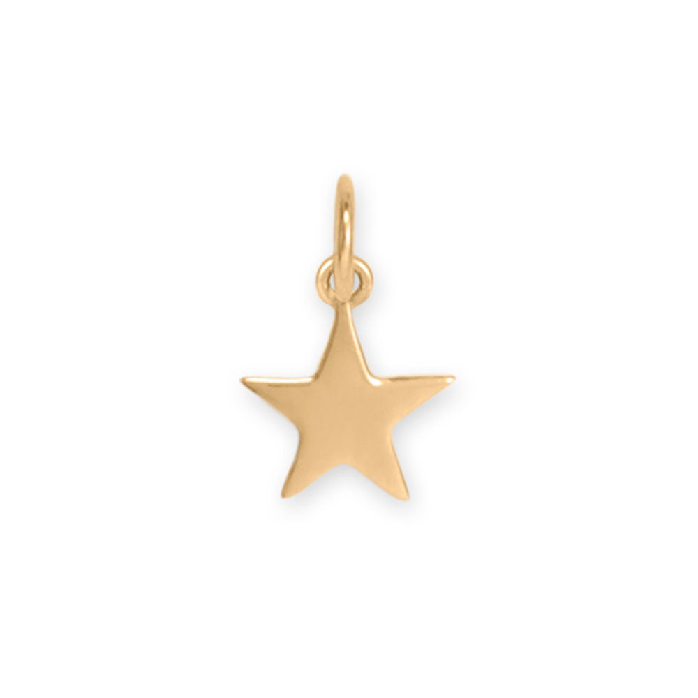 14 Karat Gold Star Charm