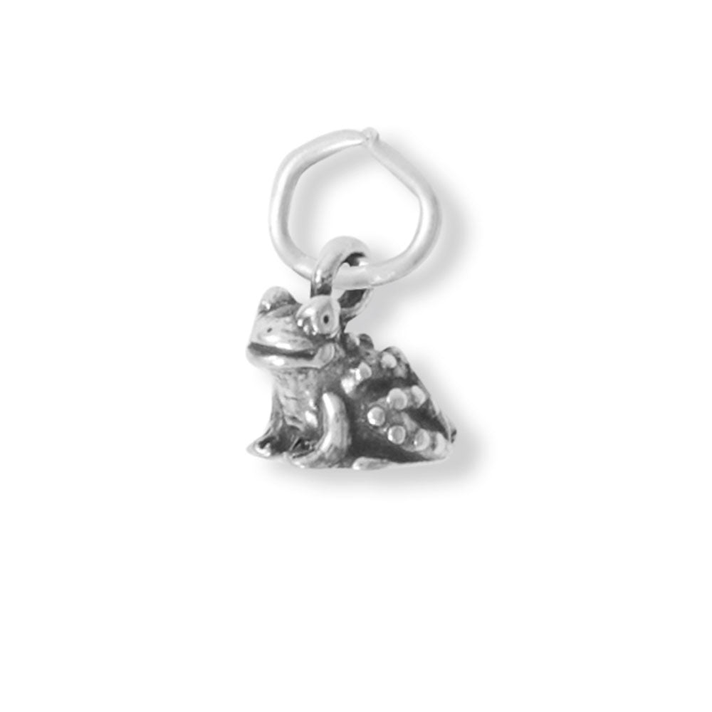 Oxidized Toad Charm